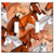 Double Gang Toggle Wall Plate - Dan's Horses