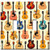 Art Plates - Acoustic Guitars Switch Plate - Double Toggle