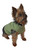 Ruff Ruff and Meow Dog Tank Top, Plain, Green, Extra-Small