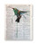 Hummingbird Upcycled Vintage Dictionary Art Print 8x10 UNFRAMED Instinct Collection