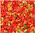 BIG PACK - (500) Bhut Jolokia, Ghost Pepper Seeds - 2007 as hottest chile pepper in the world at over 1 million Scoville unit- Non-GMO Seeds by MySeeds.Co (BIG PACK - Bhut Jolokia Ghost Pepper) BIG PACK - (500) Bhut Jolokia, Ghost Pepper Seeds - 2007 as hottest chile pepper in the world at over 1 million Scoville unit- Non-GMO Seeds by MySeeds.Co (BIG PACK - Bhut Jolokia Ghost Pepper)