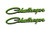 2PCS Replacement Challenger Nameplate Emblems, 3D Badges Decal embelms for Dodge Chrysler Mopar Challenger (Green)