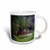 3dRose mug_131410_1 Augustas Amen Corner Golf Course Golfers on Bridge Ceramic Mug, 11-Ounce