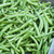 Strike Bush Bean Seeds - 1 Lb - Non-GMO, Heirloom Green Snap Bean Seeds - Vegetable Garden Seeds