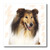 3dRose ht_4544_1 Rough Collie Portrait Iron on Heat Transfer for White Material, 8 by 8-Inch