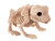 Crazy Bonez Skeleton Frog Bonez