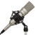 LyxPro LDC-10 Cardioid Condenser Studio Microphone, Shockmount, 10 Ft XLR Cable & Foam Wind Screen for Professional Home Recording
