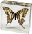 REALBUG Swallowtail Butterfly Paperweight(3x3x1)
