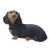 Design Toscano Black Dachshund Puppy Dog Statue, Multicolored