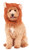 Rubie's Lion's Mane Costume Accessory for Pets, Medium/Large, Multicolor
