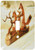 3dRose lsp_119829_1 Vintage Foxes On A Log Humorous Drawing Single Toggle Switch