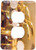 3dRose lsp_84993_6 French Polynesia, Saxophone Used In Band, Music Oc13 Bja0067 Jaynes Gallery 2 Plug Outlet Cover