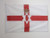 AZ FLAG Northern Ireland Flag 2' x 3' for Outdoor - Irish Flags 90 x 60 cm - Banner 2x3 ft Knitted Polyester with Rings