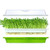 Seed Sprouter Tray with Lid BPA Free Bean Sprout Grower Germination Kit Extra Small Hole