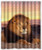 ZHANZZK Lion Sunset Bathroom Shower Curtain 60x72 Inches