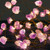 MIYA LIFE Plus Natural Amethyst Crystal Raw Stones LED Decorative String Lights 6.5ft 20 Lights with Remote for Mother's Day Tent Wedding Anniversary Birthday Easter Present Bedroom Christmas Party