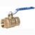 Midwest Control FBB-100 600 CWP 1' FPT Brass Ball Valve