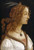 Posterazzi Portrait of a Young Woman Poster Print by Sandro Botticelli, (10 x 14)