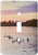 3dRose Lsp_23789_1 Geese At Sunset Single Toggle Switch