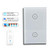 PCJHSP Smart Wall Touch Light Panel Switch, Wireless Voice Control APP Remote Control Timer Function Compatible with Amazon Alexa Google Assistant and IFTTT (2 Gang)