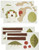 CoCo & Company Chomp N Stomp Removable Wall Appliques (Discontinued by Manufacturer)