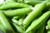 25 Sugar Snap Pea Seeds Pisum Sativum by RDR Seeds