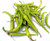 Guindilla Pepper Heirloom Basque Region Pepper Premium Seed Packet + More
