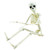 16 Posable Halloween Skeleton- Full Body Halloween Skeleton with Movable Joints for Haunted House Props Decorations