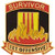 Vietnam Tet Offensive Survivor Pin 1"