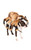 Rubies Costume Company Giant Spider Pet Suit