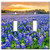 Art Plates Brand Double Toggle Switch / Wall Plate - Blue Bonnets