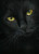 YUMEART DIY 5D Paint with Diamonds Animal Black Cat Cross Stitch Resin Stone Pasted Painting Square Drill Diamond Embroidery Cat