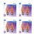 G E Lighting 75339 Amber Flame Shaped Bulb, 25W, 2-Pack, 4 Pack
