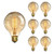 KINGSO Vintage Edison Bulb 60W Incandescent Antique Light Bulb Dimmable Squirrel Cage Filament E26 Base G80 110V (6 Pack) KINGSO Vintage Edison Bulb 60W Incandescent Antique Light Bulb Dimmable Squirrel Cage Filament E26 Base G80 110V (6 Pack)