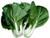 Cabbage Pak Choi White Stem Great Heirloom Vegetable By Seed Kingdom BULK 1 Lb Seeds