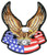 Hot Leathers Eagle Banner American Patch (1" Width x 12" Height)