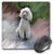 3dRose LLC 8 x 8 x 0.25 Inches White Poodle Mouse Pad (mp_4028_1)