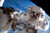 Astronaut International Space Station Photo Art Print Huge Large Giant Poster Art 36x54 inch