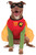 Rubies Costume Company DC Comics Robin Big Dog Boutique