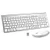 Wireless Keyboard and Mouse, FENIFOX USB Full Size Quiet Compact Compatible with iMac Mac PC Laptop Tablet Computer Windows (Silver White)
