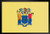 New Jersey State Flag Framed Poster 14x20 inch