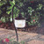 Regal King Hampton Bay Low Voltage LED Pathway Light - Bronze Finish 1002757152