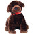 TY Beanie Baby - MUDDY the Dog