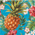 Creative Converting 319994 Aloha Beverage Napkins, 5, Multi-colored
