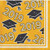 Creative Converting 335411 Yellow Class Of 2019 Beverage Napkins, 5,