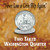 American Coin Treasures Washington Quarter Two Sides Tails Coin