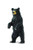Safari Ltd Wild North American Wildlife Black Bear