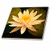 3dRose LLC ct_13905_1 Yellow Lotus Flower Ceramic Tile, 4-Inch