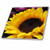 3dRose LLC Sunflower 6-Inch Ceramic Tile