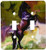 3dRose lsp_3348_2 Black Horse Double Toggle Switch